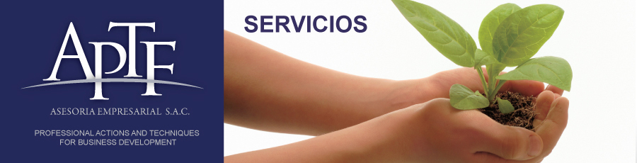 Asesoria Empresarial S.A.C. - Servicios