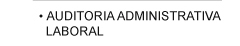 Auditoria Administrativa Laboral